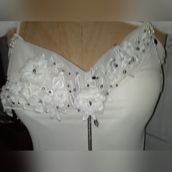 Ivory Mesh Dresses with Rhinestone, Lace, Blue Irridescent Crystal & Ruffles - Picture 3 of 7